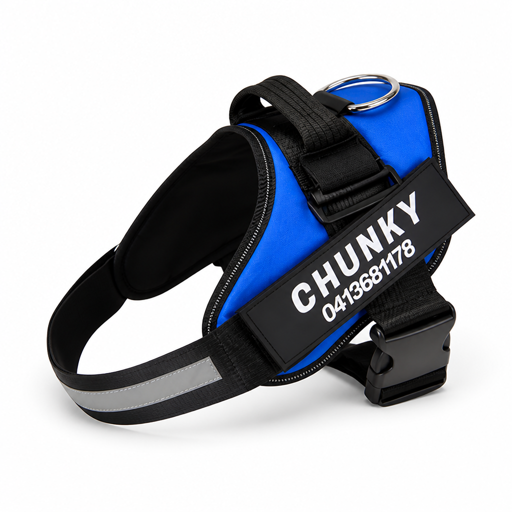Adjustable No-Pull Front-Clip Dog Harness (Custom Engraving)