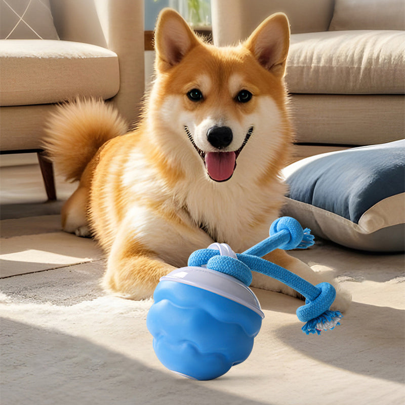 Sound-Activated LED Electronic Toy for Dogs