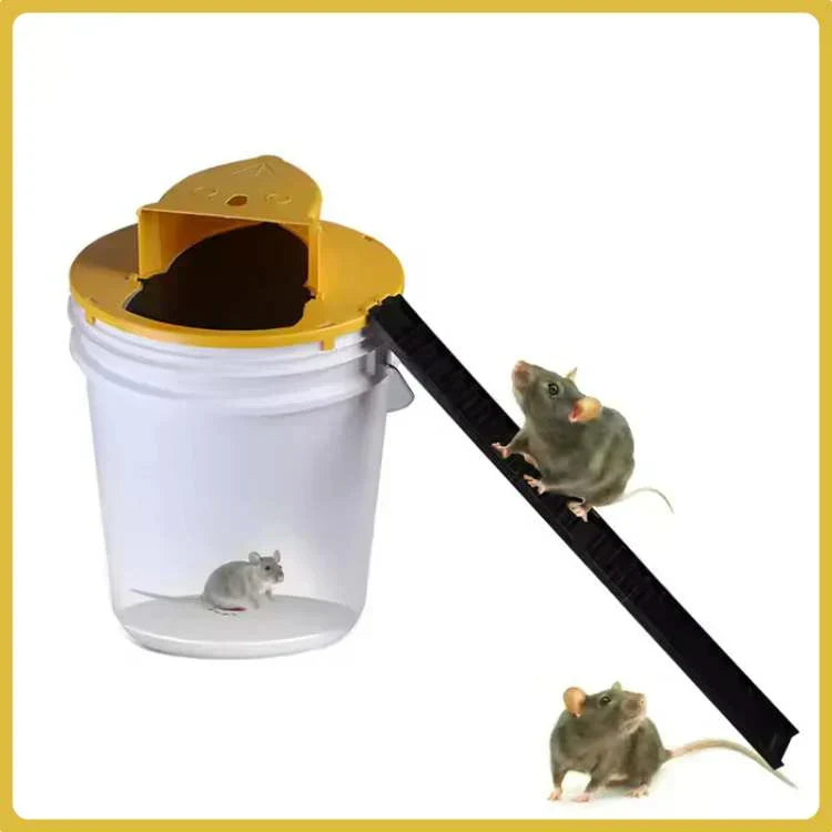 Indoor Rodent Control Trap - Touchless Multi-Catch for Pet Safety