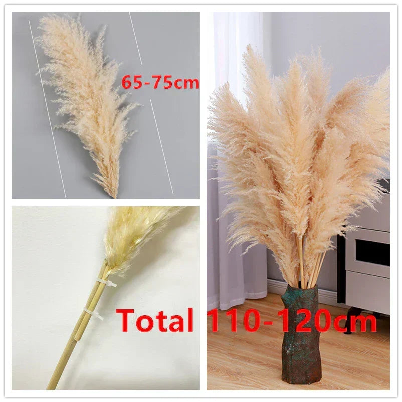 Dried Pampas Grass for Floral Arrangements and Boho Wall Decor