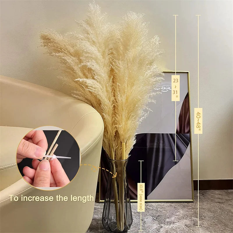 Dried Pampas Grass for Floral Arrangements and Boho Wall Decor