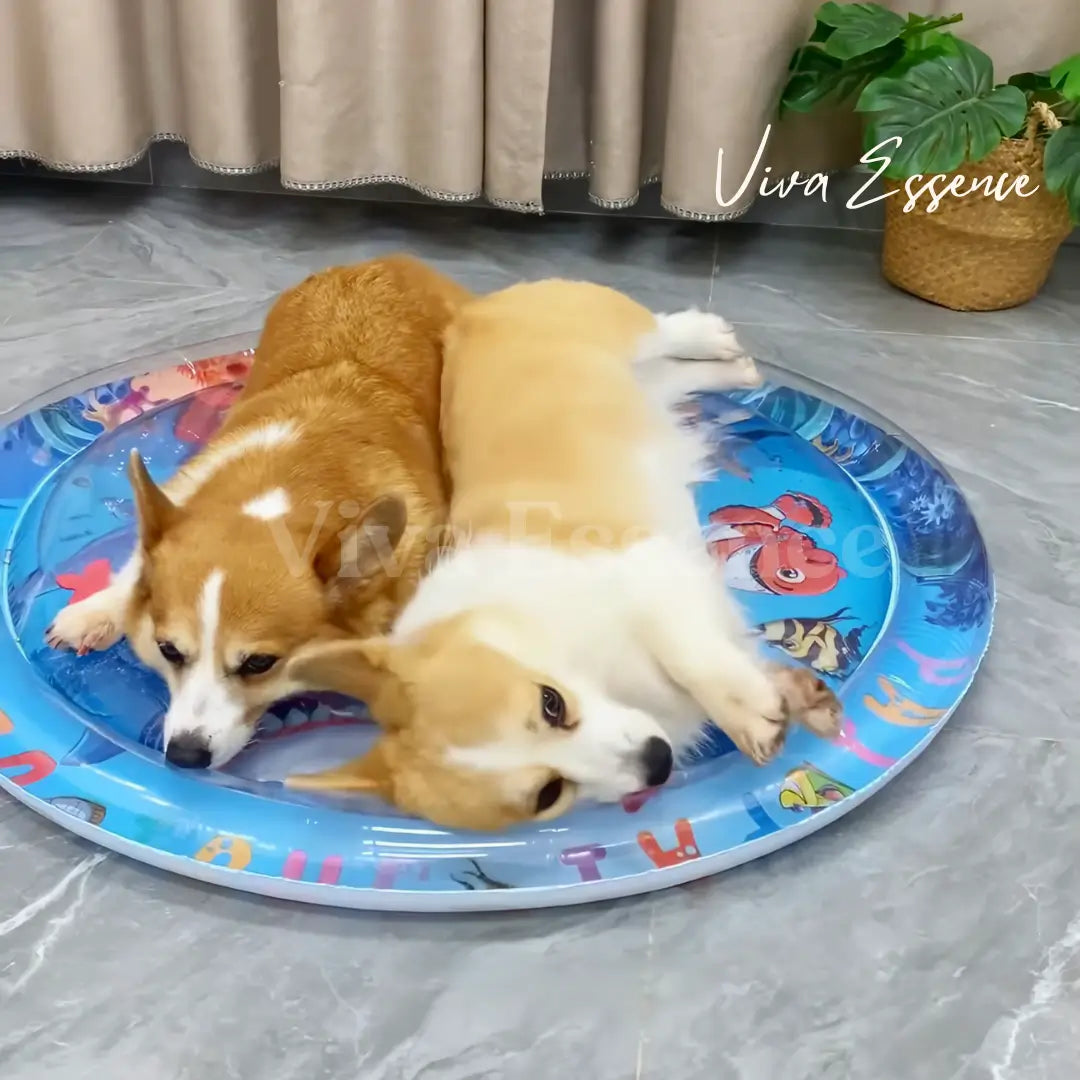 AquaRest™ — Instantly Soothes Joint Pain and Cools Your Pet for Endless Playfulness