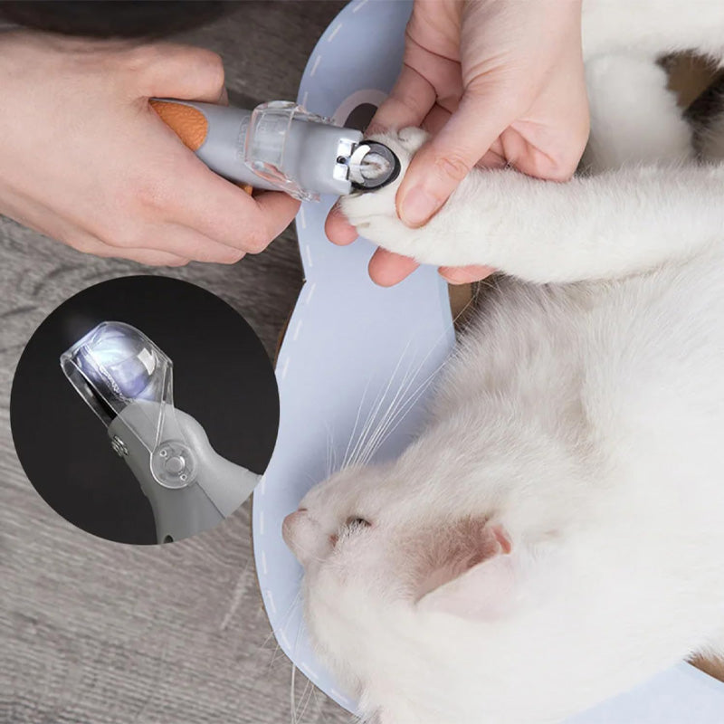 Animal Claw Scissors with LED Light – Visible Blood Vessel Indicator