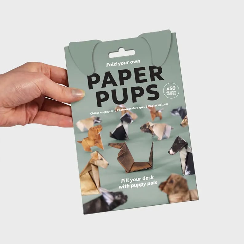 Paper Folding Craft Set – Create 50 Animal Figures