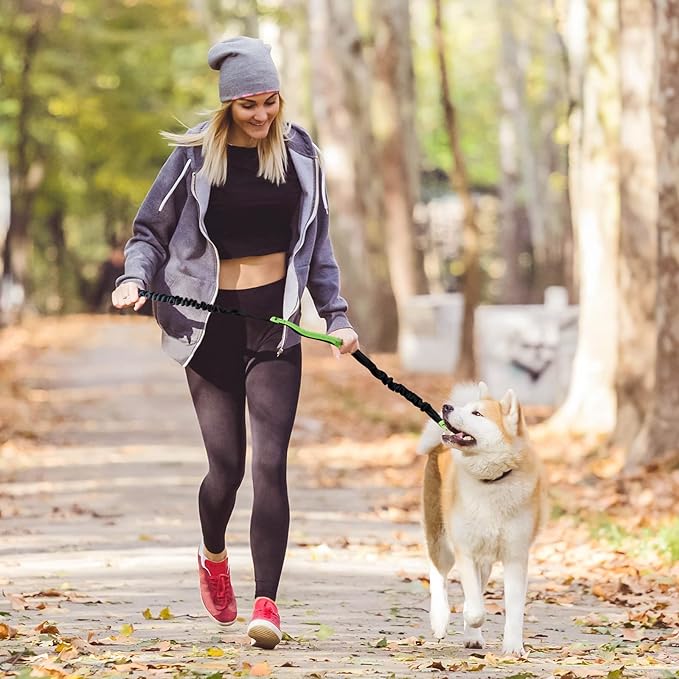 Bungee Dog Leash for Hands-Free Use – Reflective Waist Strap for Running, Hiking, and Walking
