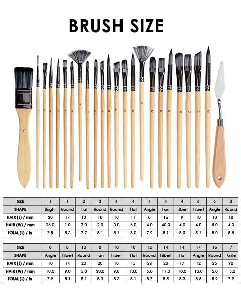 7 Brush Shapes and Palette Knife – 24-Piece Makeup Brush Set with Case