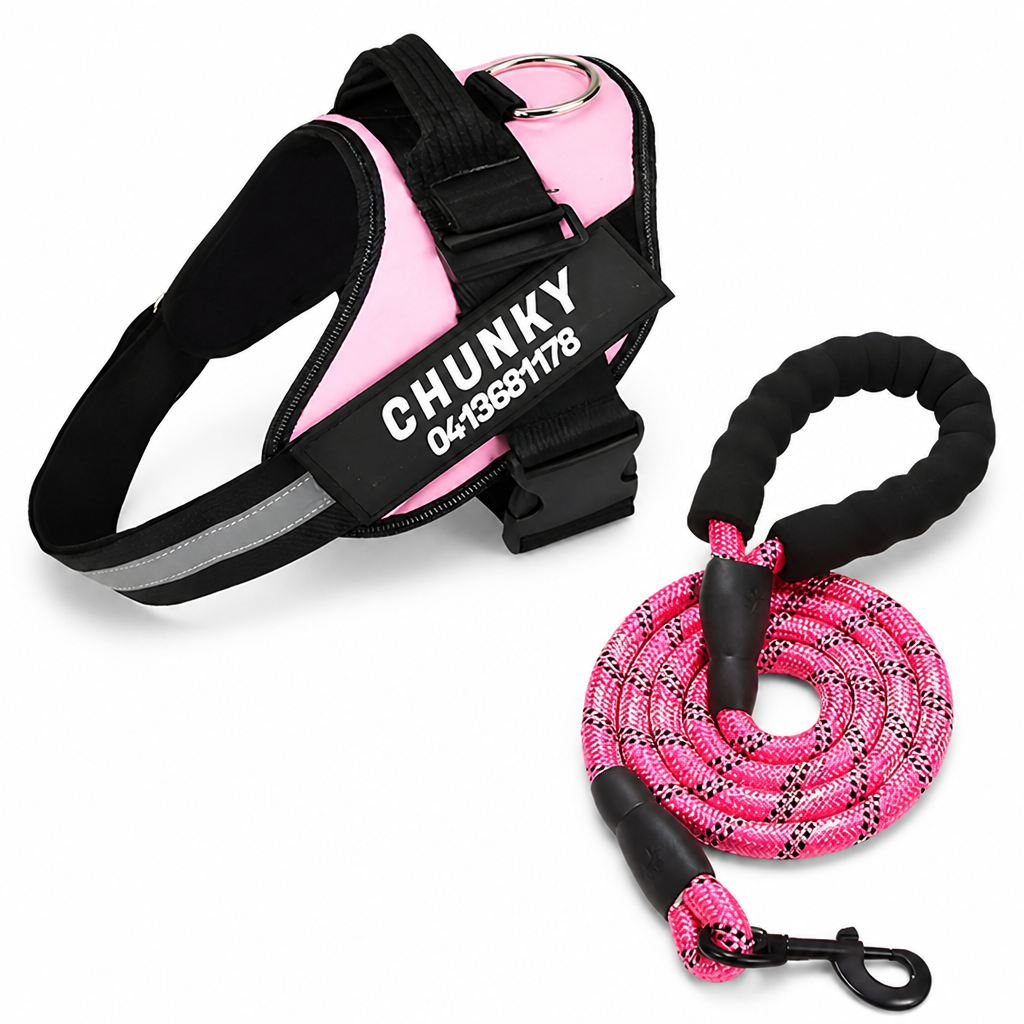 Adjustable No-Pull Front-Clip Dog Harness (Custom Engraving)