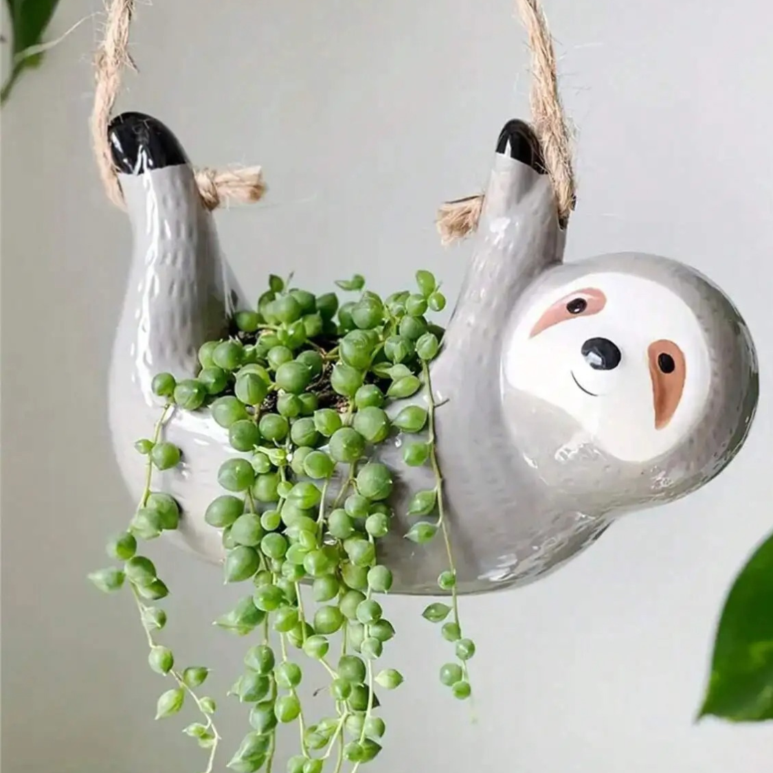 Ceramic Succulent Planter for Hanging Display