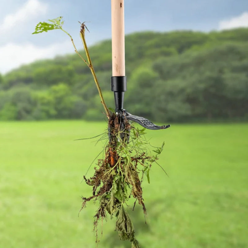 Ergonomic Long-Handled Stainless Steel Weed Remover with Detachable Head