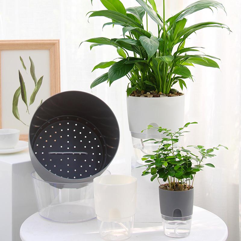 Transparent Reservoir Self-Watering Planter with Cotton Wick