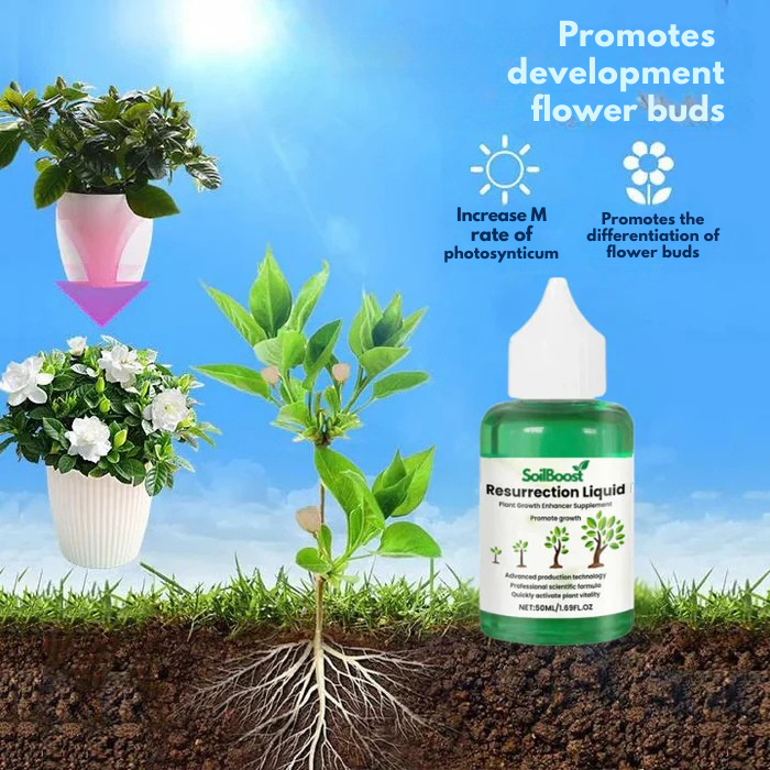 RadiantRoot™ Growth Elixir — Ignite Fierce, Vibrant Life in Every Leaf and Root