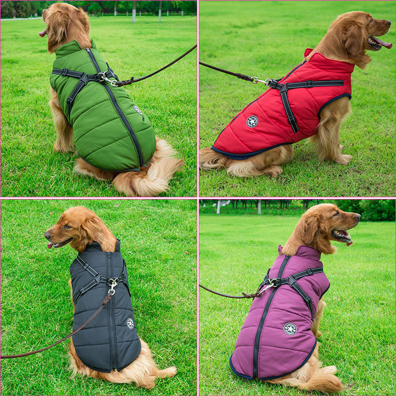 ThunderStride™ — Wrap Your Dog in Instant Warmth and Effortless Control Every Walk