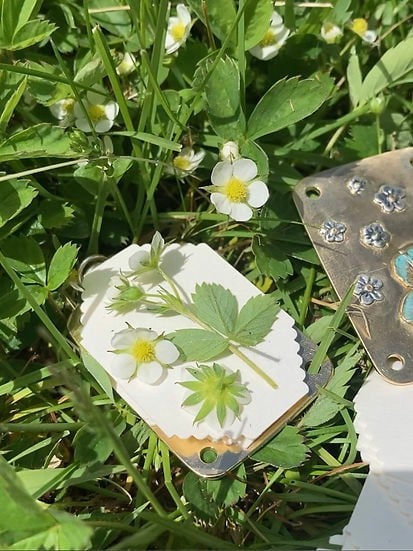 Compact Floral Press and Plant Preservation Tool for Crafts