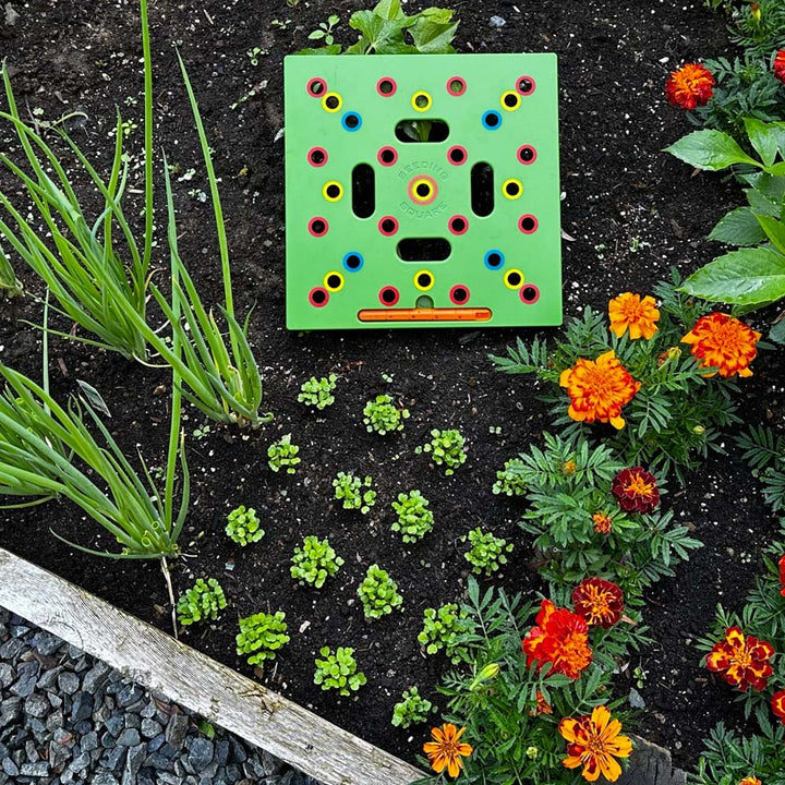 Vegetable Garden Planting Guide | Spacing Template for Herbs & Veggies | 30x30 cm with Instructions
