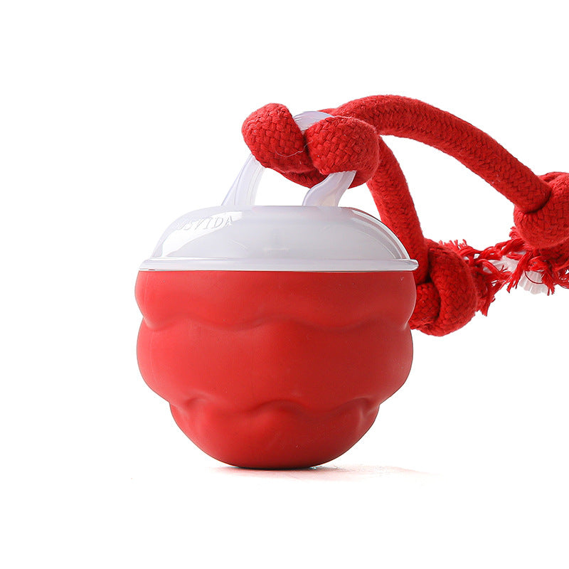 Sound-Activated LED Electronic Toy for Dogs