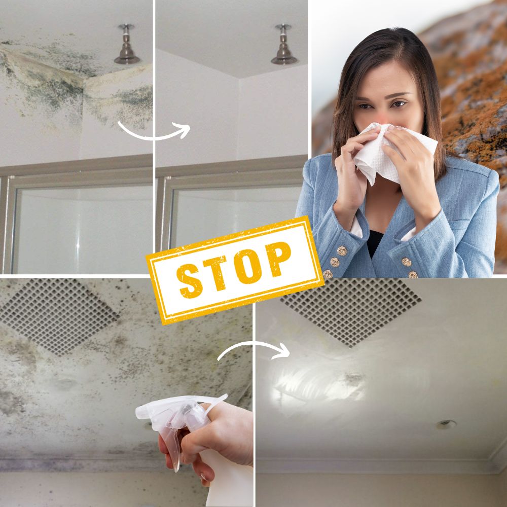 MoldBan™ — Watch Mold Disappear Fast for a Fresher, Safer Home You Love