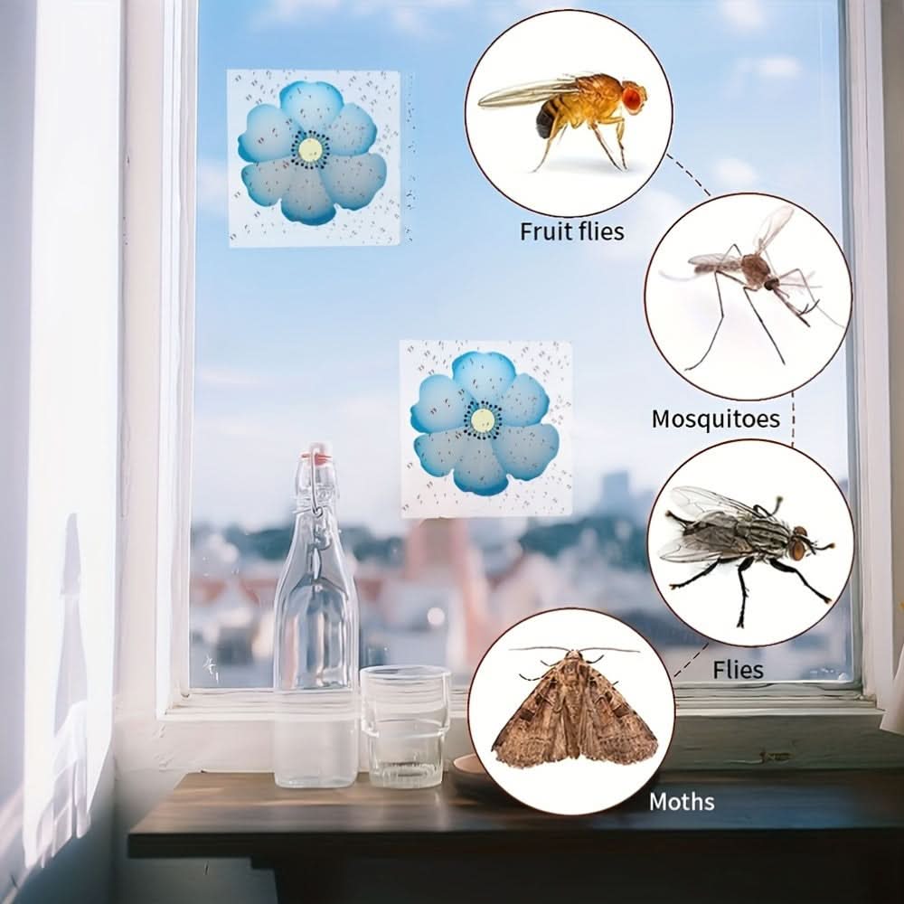 Window Insect Traps for Kitchens and Plants – Sticky Fly Catchers