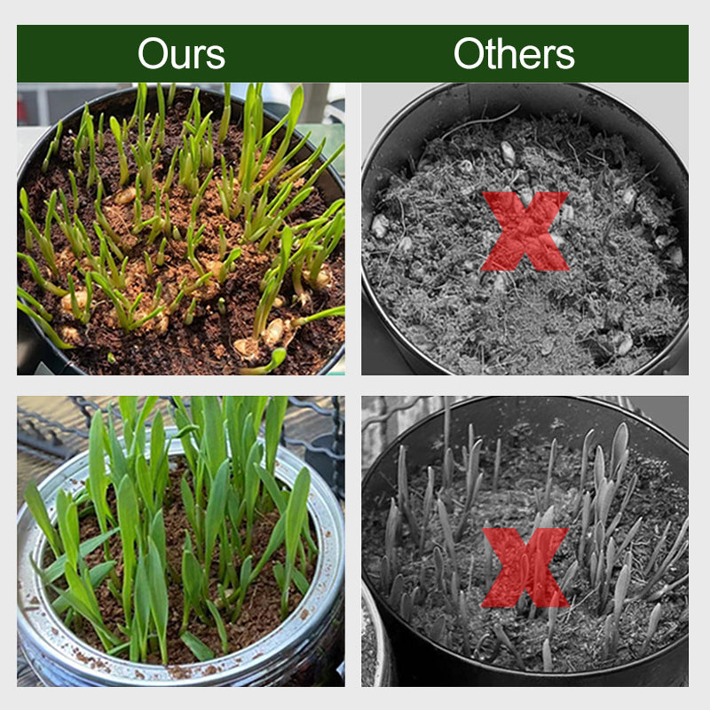 EverGrow Thrive™ — Ignite Explosive Growth with Lush, Breathable Soil That Nourishes Every Root