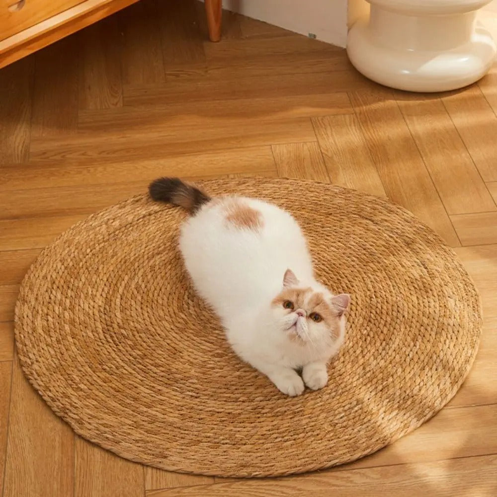 Natural and Durable Jute Cat Scratching Mat - Braided Design