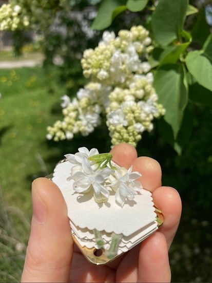Compact Floral Press and Plant Preservation Tool for Crafts