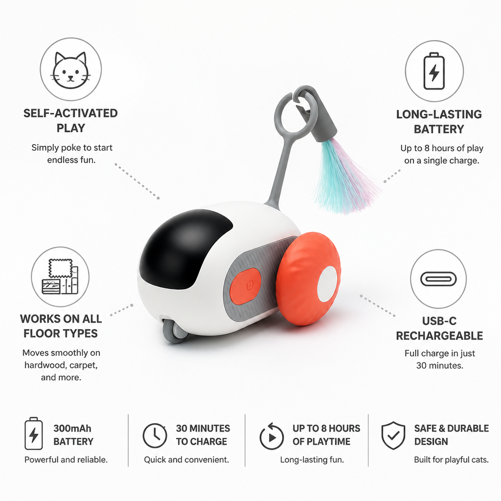 Self-Activated USB-C Rechargeable Motorized Cat Chase Toy