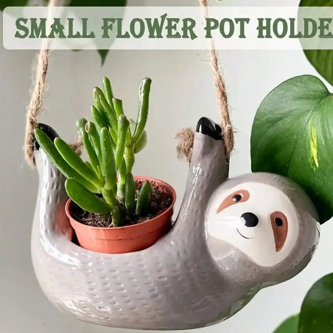 Ceramic Succulent Planter for Hanging Display