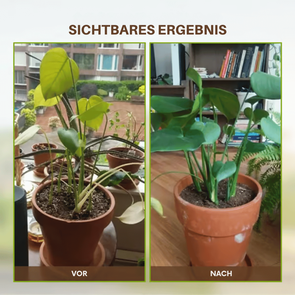 Powdered Soil Enhancer for Thriving Plants