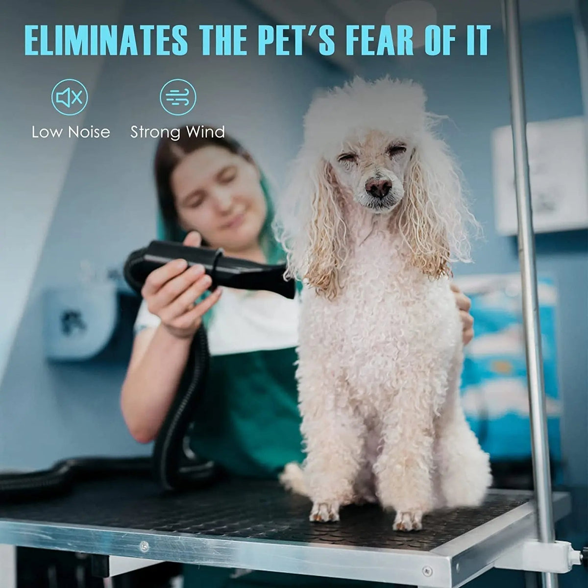 Dog Grooming Dryer with Adjustable Temperature, Dual Speed, Four Nozzles
