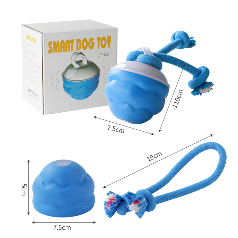 Sound-Activated LED Electronic Toy for Dogs