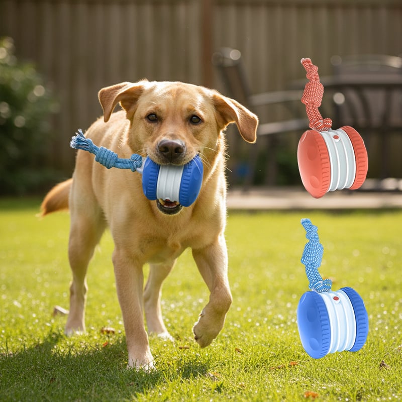 Motion-Activated Dog Toy with Dual Speed Settings