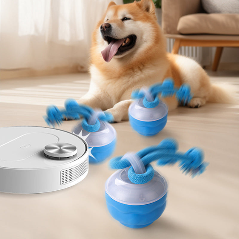 Sound-Activated LED Electronic Toy for Dogs