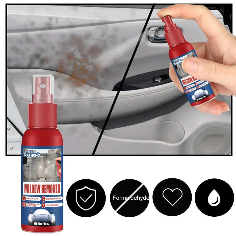 Mold Removal Spray Set of 2 – Suitable for Leather, Fabric, and Plastic
