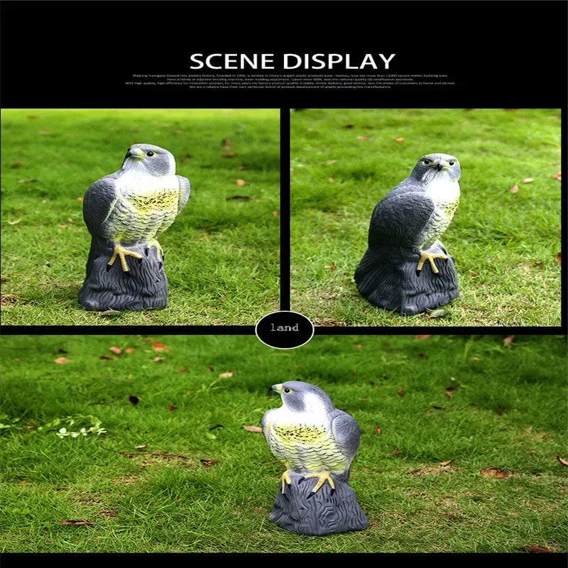 Realistic Bird of Prey Decoy for Deterring Birds