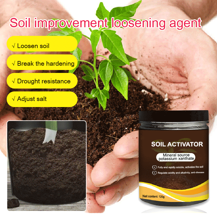 Powdered Soil Enhancer for Thriving Plants