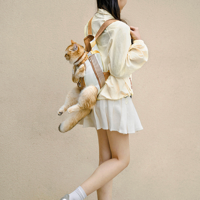 Backpack for Cats with Transparent Viewing Panel