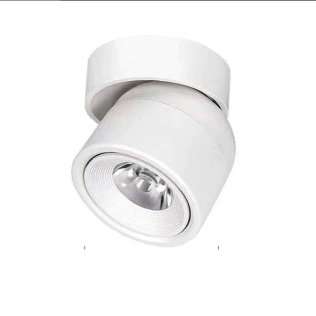 Dimmable LED Spotlight in Aluminum with 340° Swivel