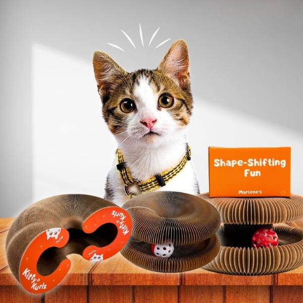 Interactive Cat Toy with Random Motion Activation