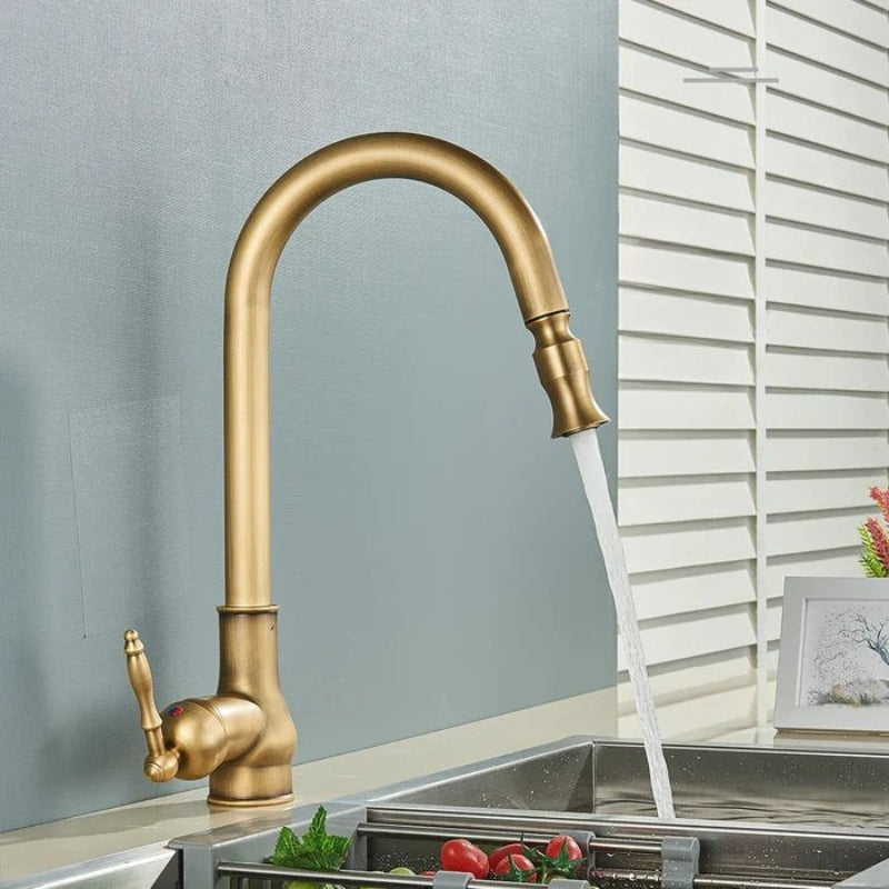 Adjustable Spout Kitchen Faucet in Antique Brass with Sturdy Build
