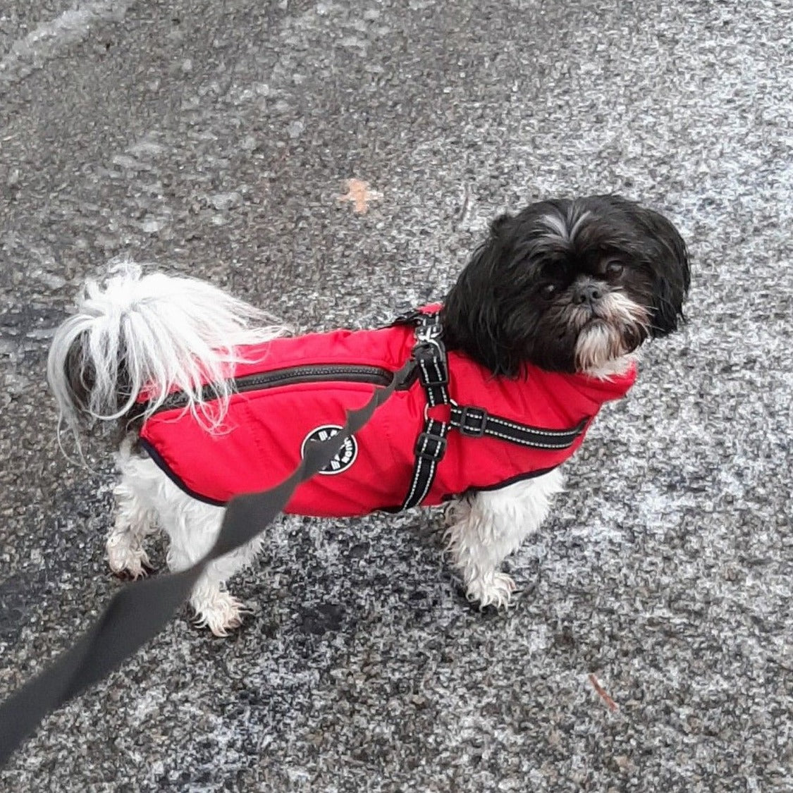 VetraGuard™ — Block Wind, Rain & Cold While Clipping Your Leash in One Move