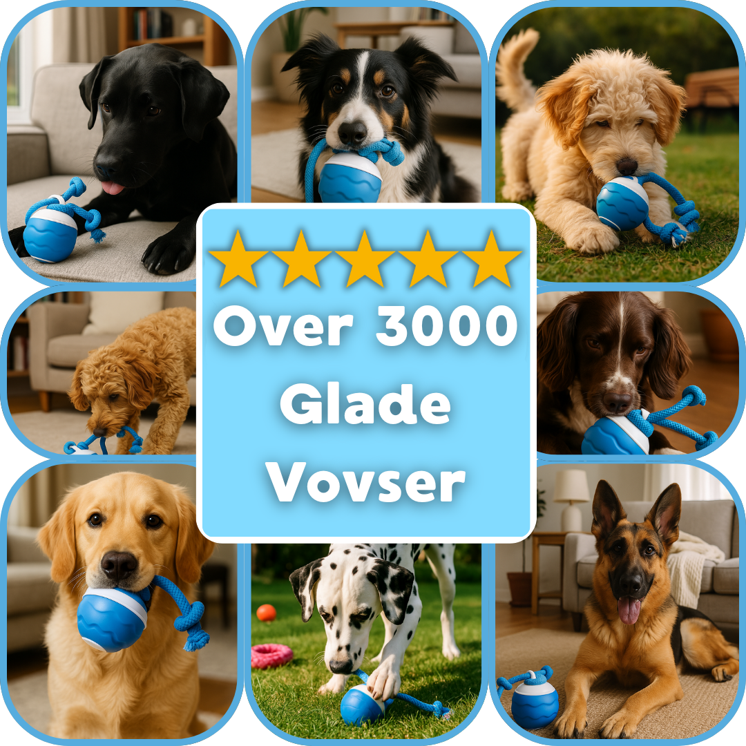 VidaPup™ — Ignite Endless Fun and Keep Your Dog’s Smile Bright