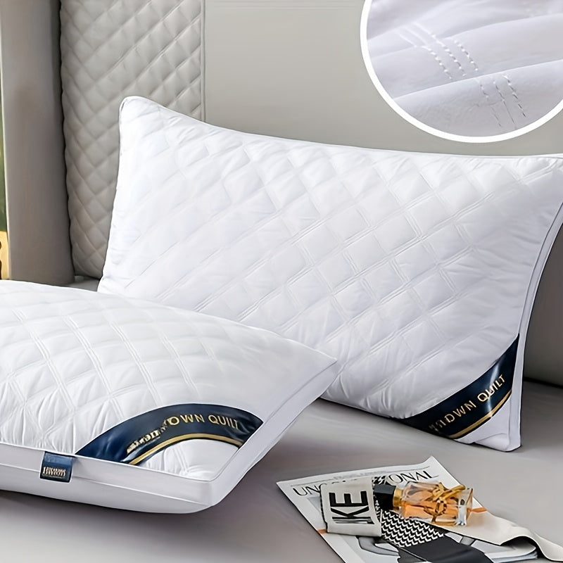Hypoallergenic 2-Pack Pillow Set – 3D Quilted Design