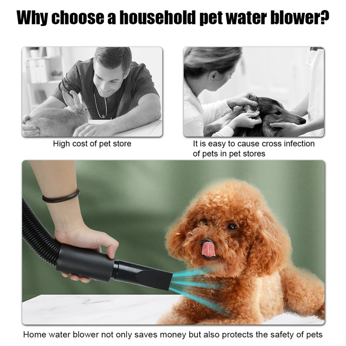 Dog Grooming Dryer with Adjustable Temperature, Dual Speed, Four Nozzles