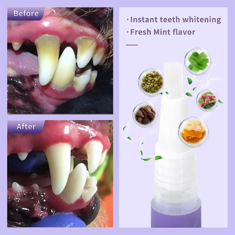 VitaSmile™ — Transform Your Pet’s Breath and Smile Into Instant Cuddle Magic