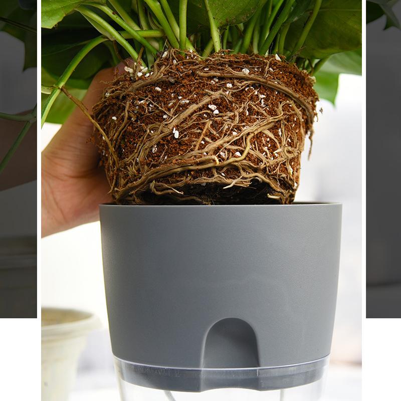 Transparent Reservoir Self-Watering Planter with Cotton Wick