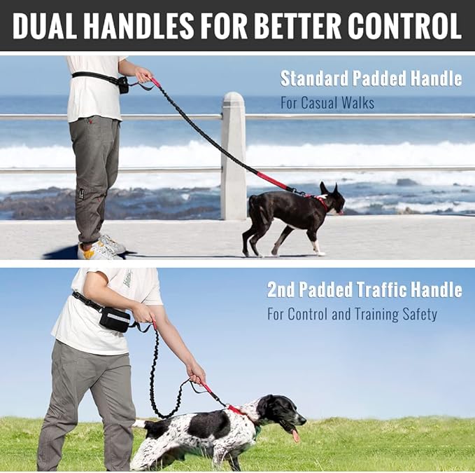 Bungee Dog Leash for Hands-Free Use – Reflective Waist Strap for Running, Hiking, and Walking