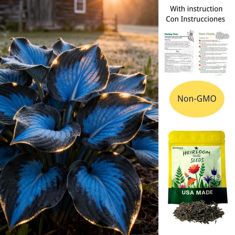ShadeBloom™ — Transform Shadowy Spots into Lush, Colorful Garden Sanctuaries