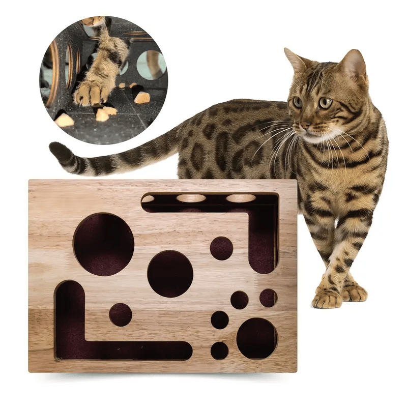 Oak Wood Cat Scratching Toy with Built-In Nail File Feature