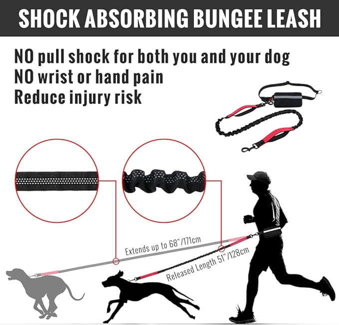 Bungee Dog Leash for Hands-Free Use – Reflective Waist Strap for Running, Hiking, and Walking