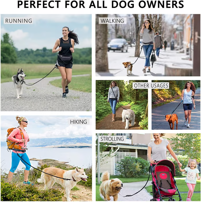 Bungee Dog Leash for Hands-Free Use – Reflective Waist Strap for Running, Hiking, and Walking