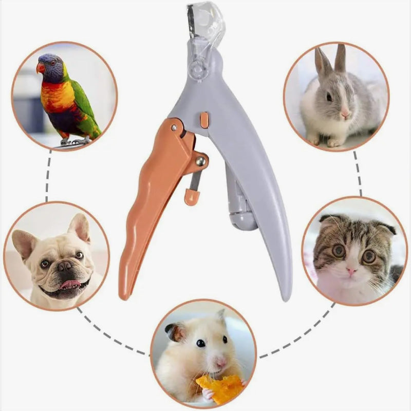 Animal Claw Scissors with LED Light – Visible Blood Vessel Indicator